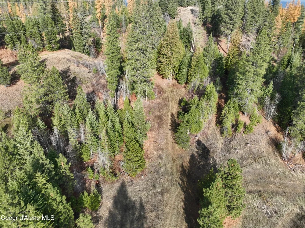 NKA Snowberry Lane Sandpoint, ID 83864