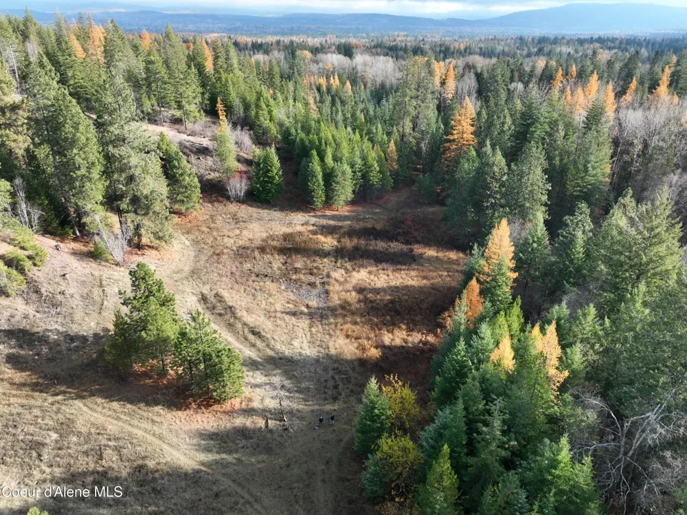 NKA Snowberry Lane Sandpoint, ID 83864