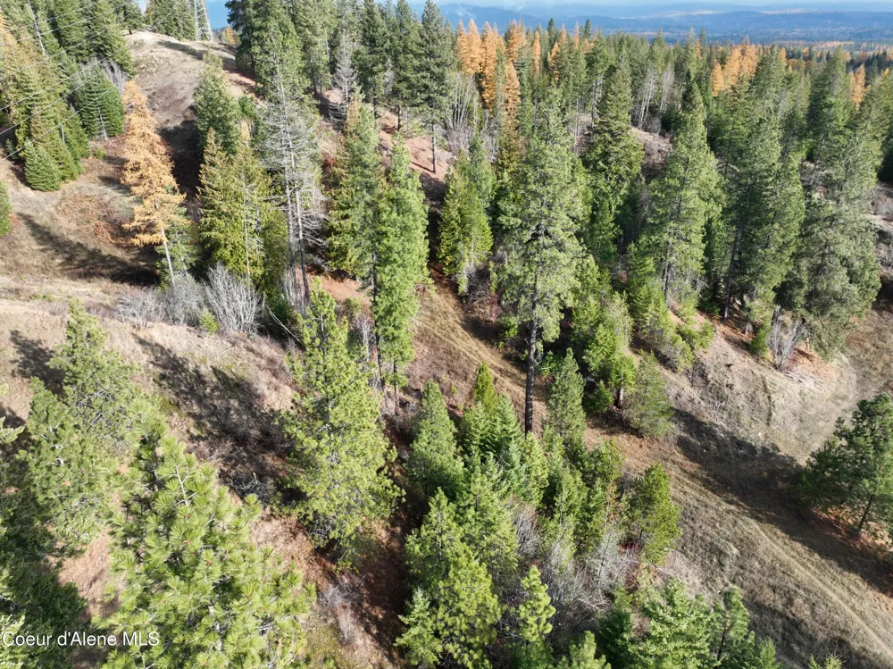 NKA Snowberry Lane Sandpoint, ID 83864