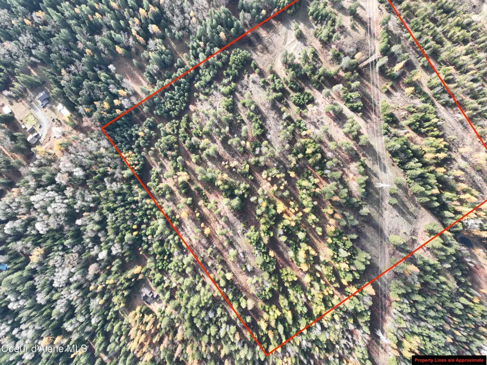 NKA Snowberry Lane Sandpoint, ID 83864
