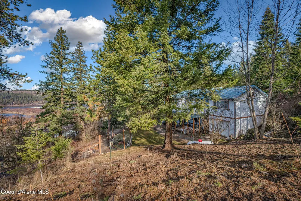 251 E Park Avenue Harrison, ID 83833