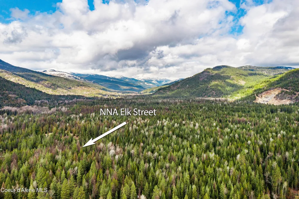 NNA Elk Street Sandpoint, ID 83864