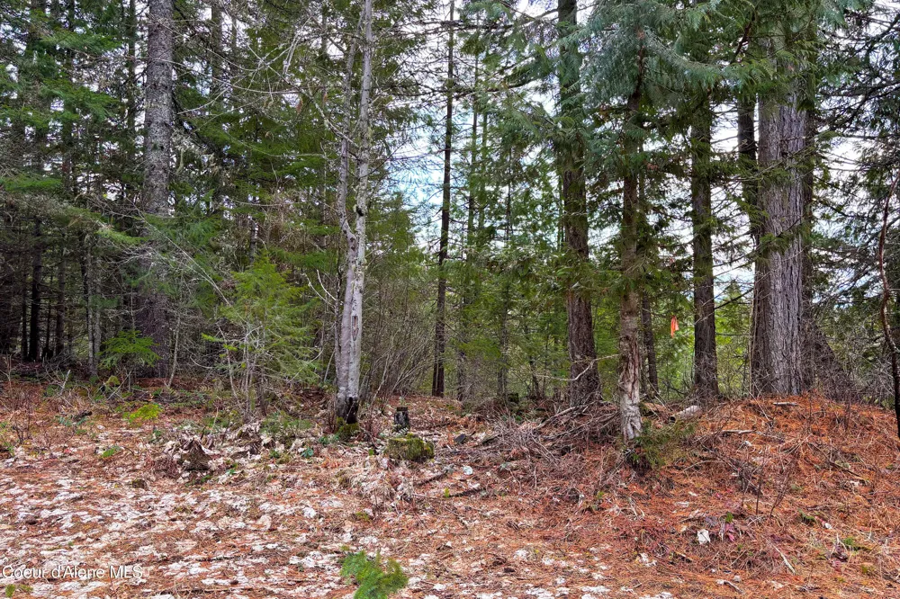 NNA Elk Street Sandpoint, ID 83864