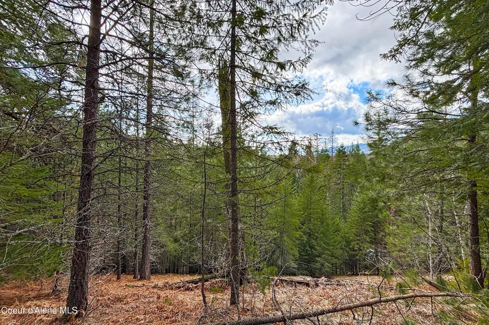 NNA Elk Street Sandpoint, ID 83864