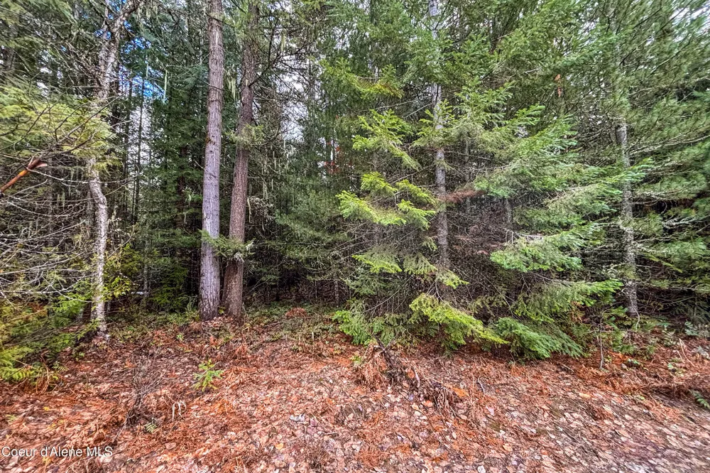 NNA Elk Street Sandpoint, ID 83864