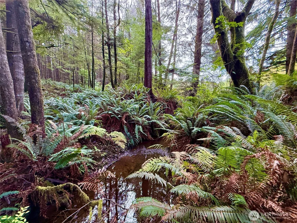 0 Copalis Beach Road Copalis Beach, WA 98535