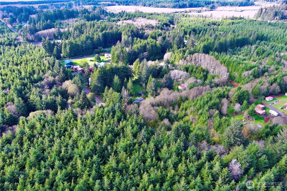 0 Copalis Beach Road Copalis Beach, WA 98535