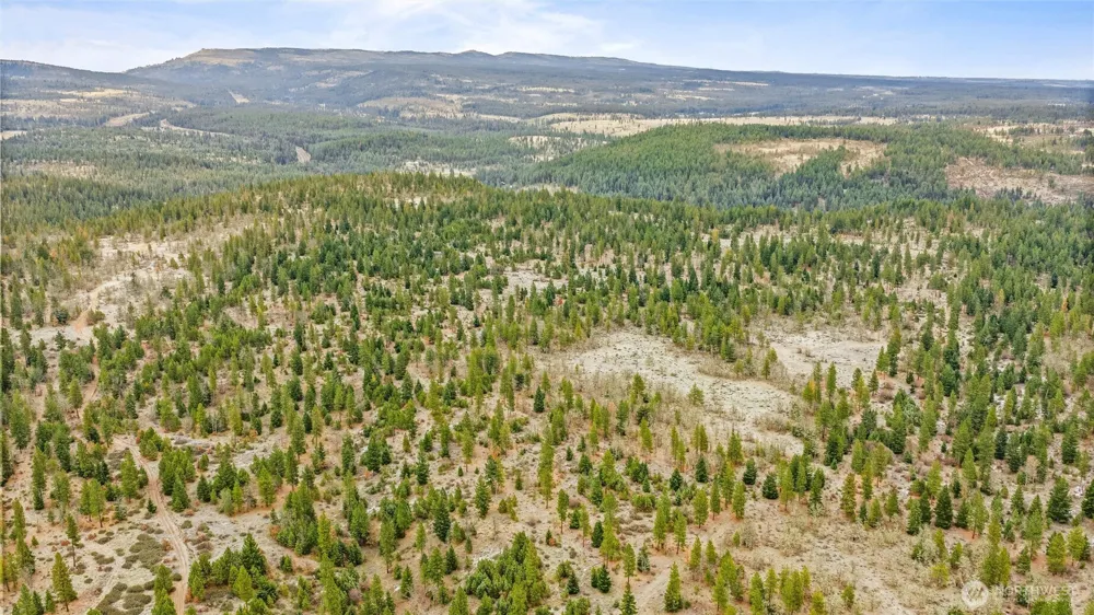 0 Satus Pass- Hwy 97 Goldendale, WA 98620