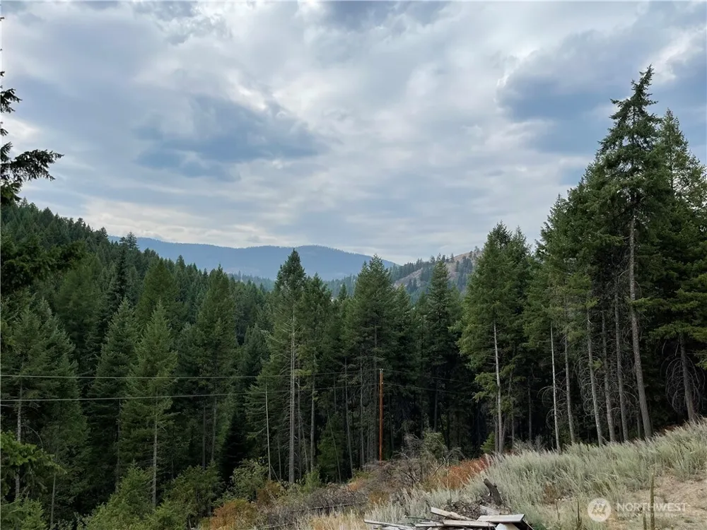 57 Slippery Hill Lane Republic, WA 99166