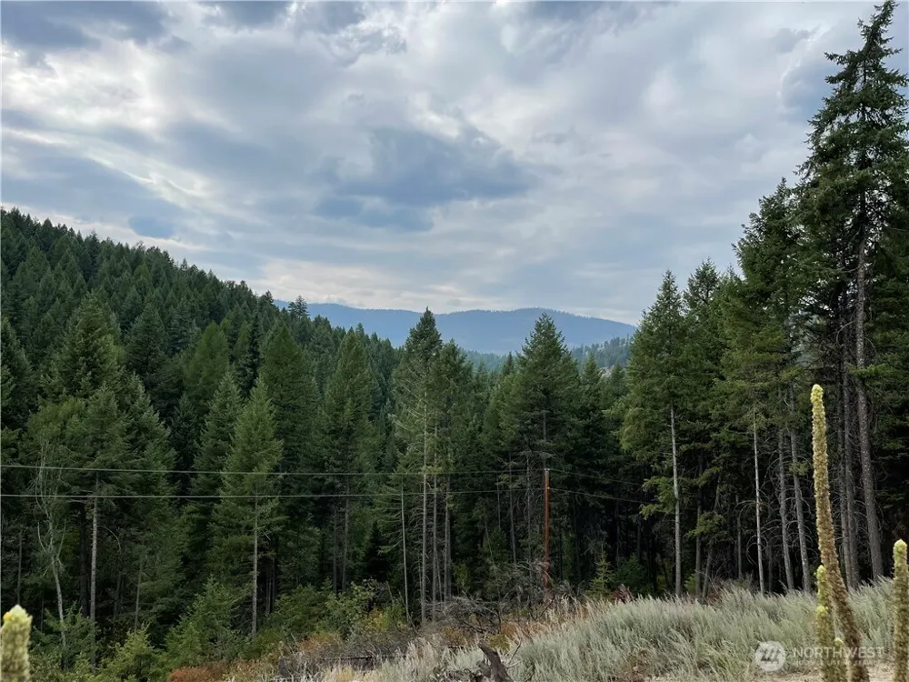 57 Slippery Hill Lane Republic, WA 99166