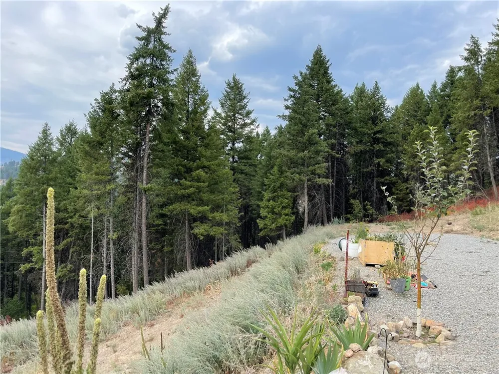 57 Slippery Hill Lane Republic, WA 99166