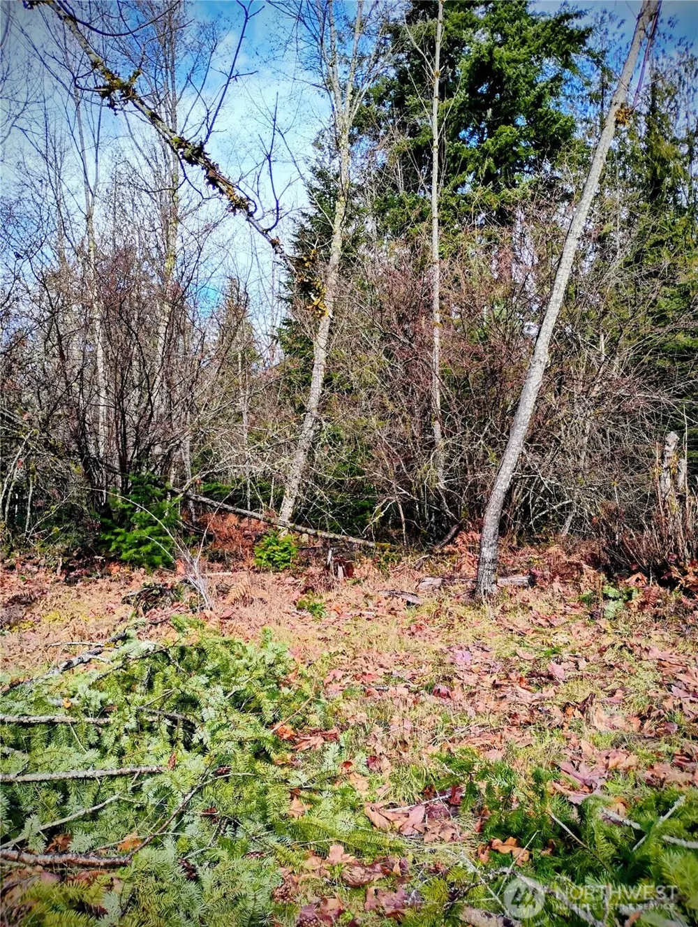 0 Holiday Lane #Lot 19 Packwood, WA 98361