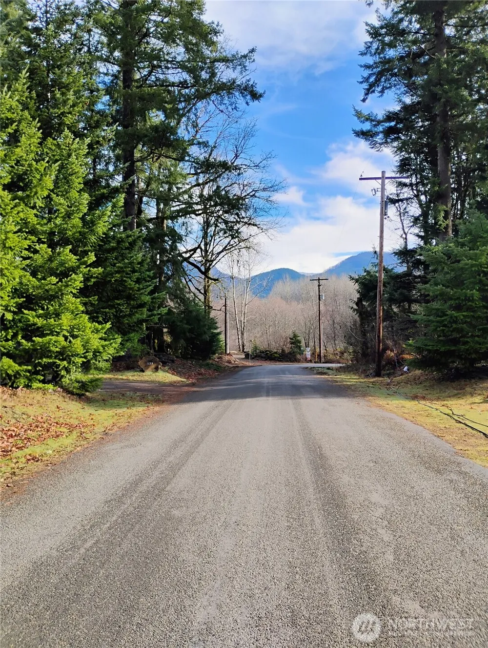 0 Holiday Lane #Lot 19 Packwood, WA 98361