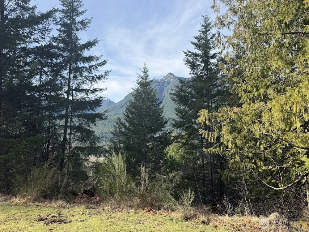 115 Ridge Lane Packwood, WA 98361