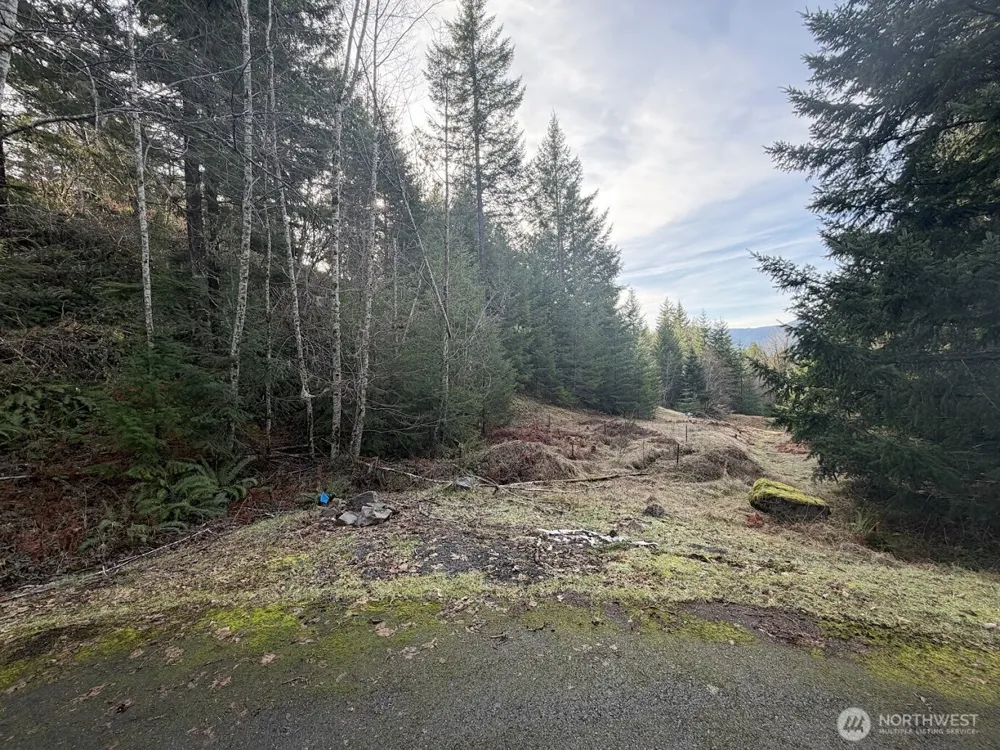 115 Ridge Lane Packwood, WA 98361