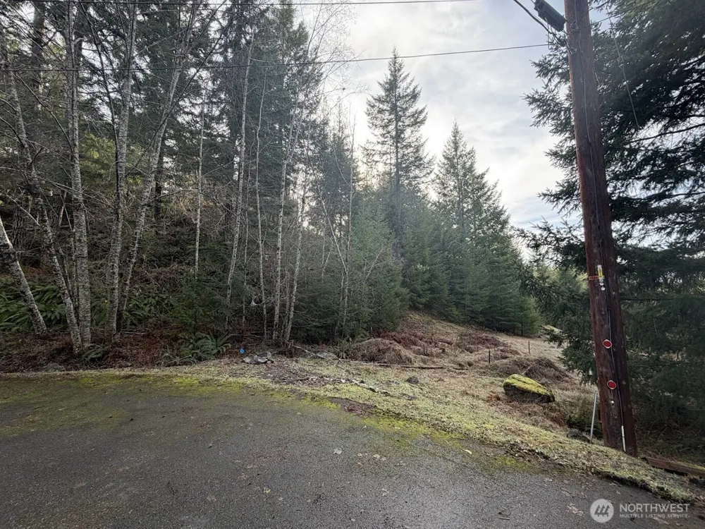 115 Ridge Lane Packwood, WA 98361