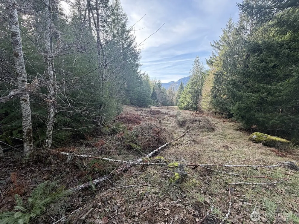 115 Ridge Lane Packwood, WA 98361
