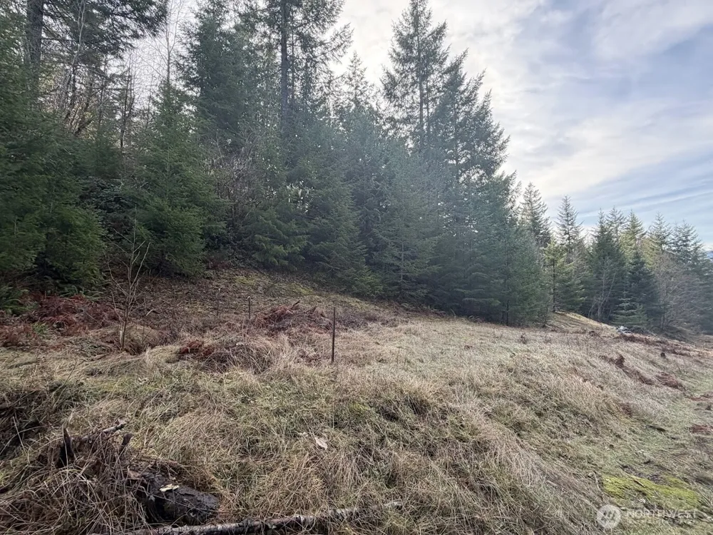 115 Ridge Lane Packwood, WA 98361