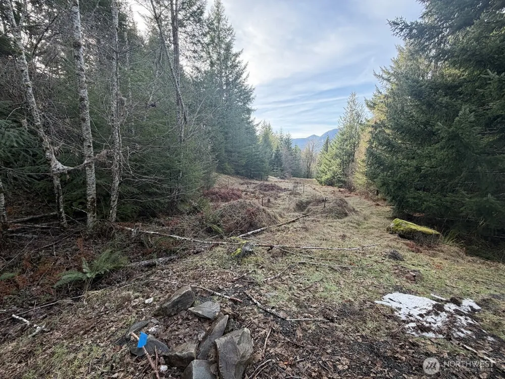 115 Ridge Lane Packwood, WA 98361