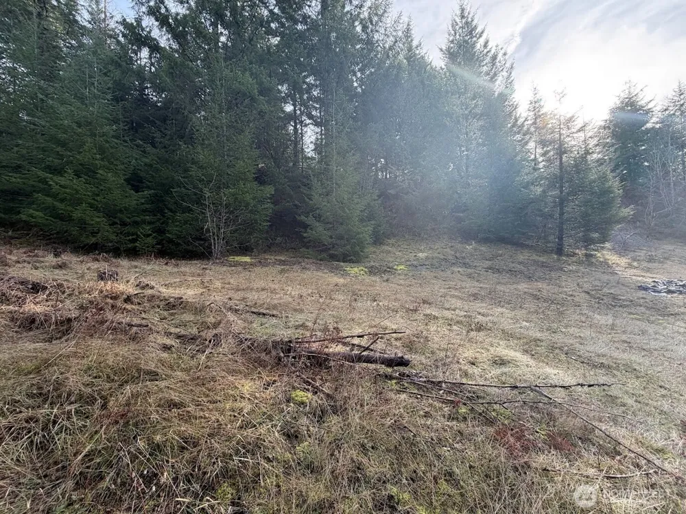 115 Ridge Lane Packwood, WA 98361