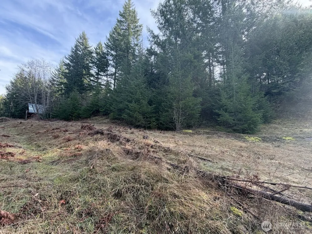 115 Ridge Lane Packwood, WA 98361