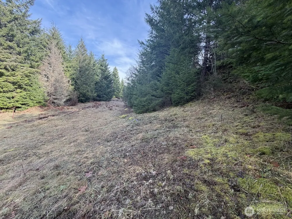 115 Ridge Lane Packwood, WA 98361