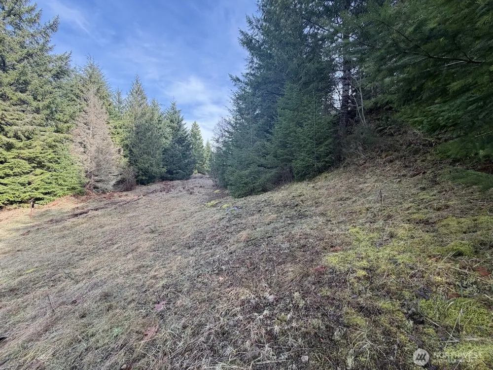 115 Ridge Lane Packwood, WA 98361