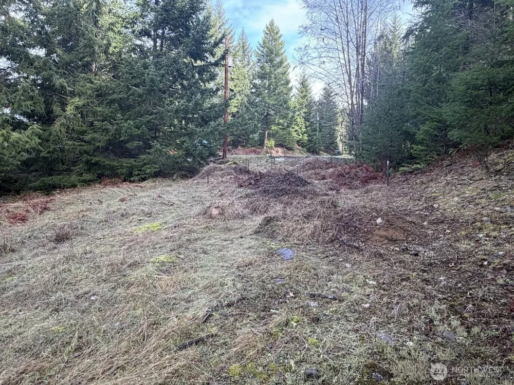 115 Ridge Lane Packwood, WA 98361