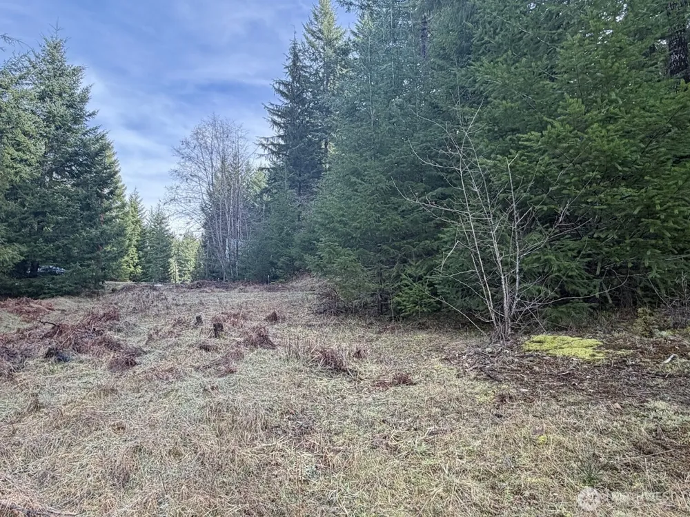 115 Ridge Lane Packwood, WA 98361