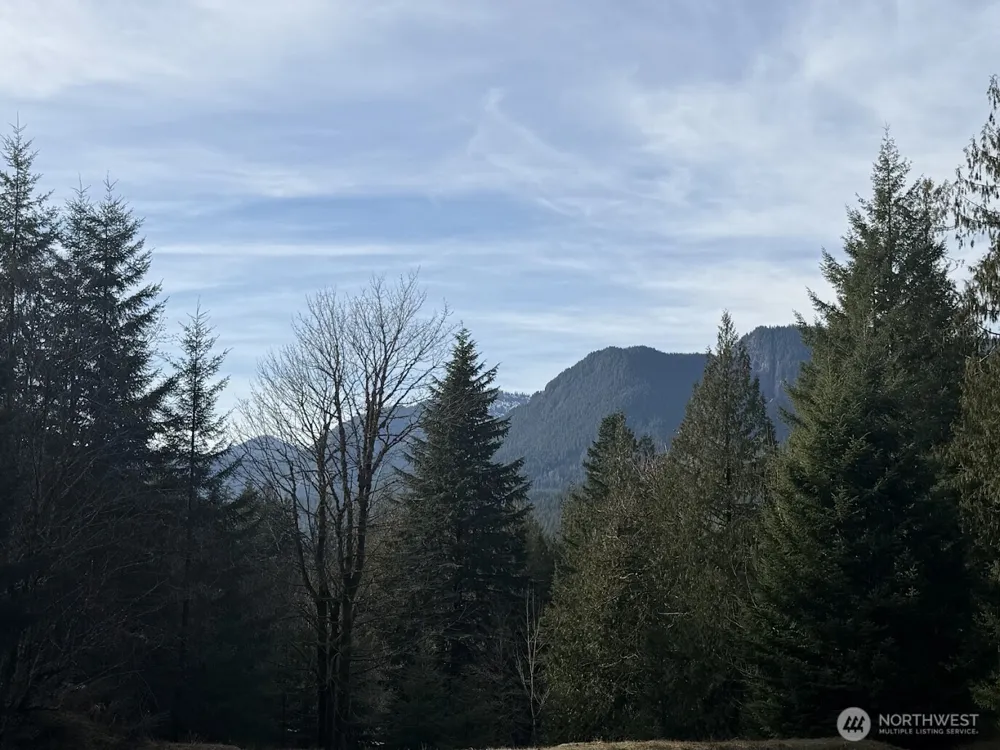 115 Ridge Lane Packwood, WA 98361