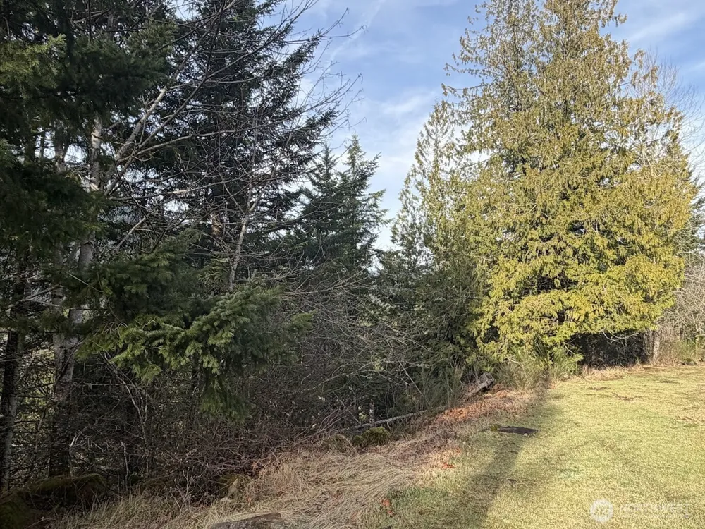 115 Ridge Lane Packwood, WA 98361
