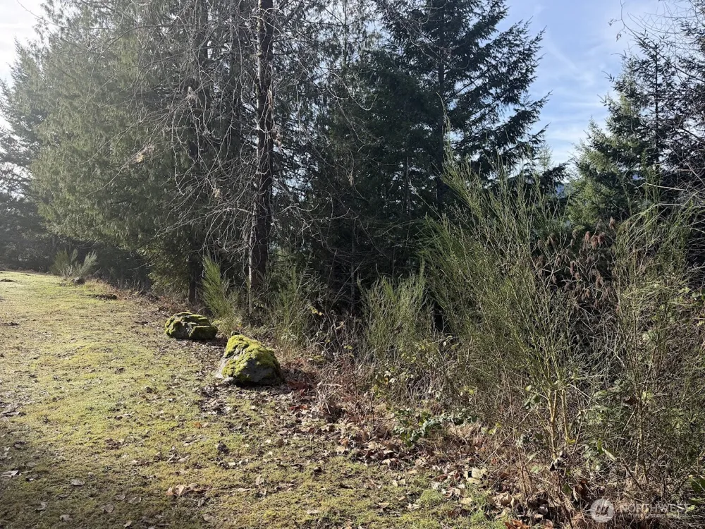115 Ridge Lane Packwood, WA 98361
