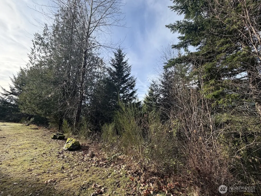 115 Ridge Lane Packwood, WA 98361