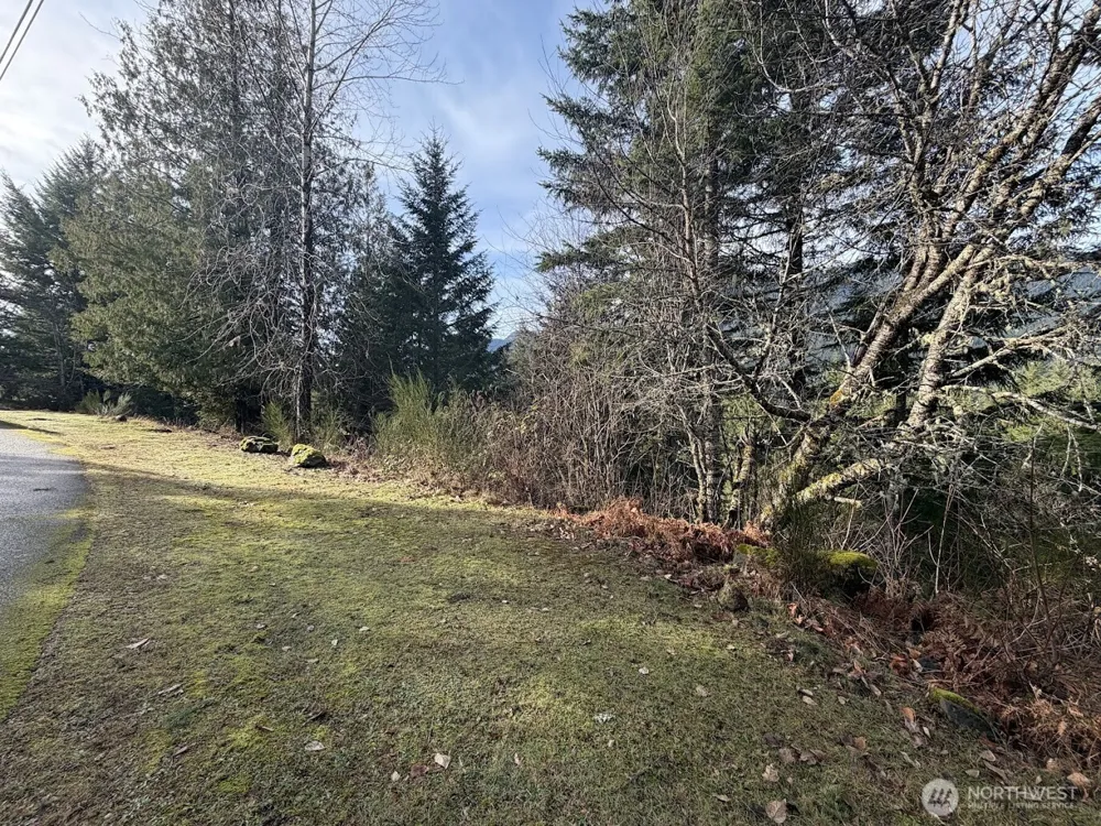 115 Ridge Lane Packwood, WA 98361