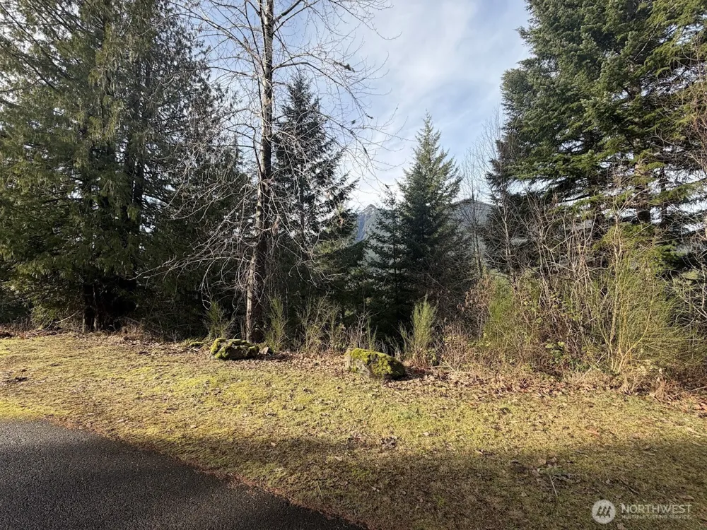 115 Ridge Lane Packwood, WA 98361