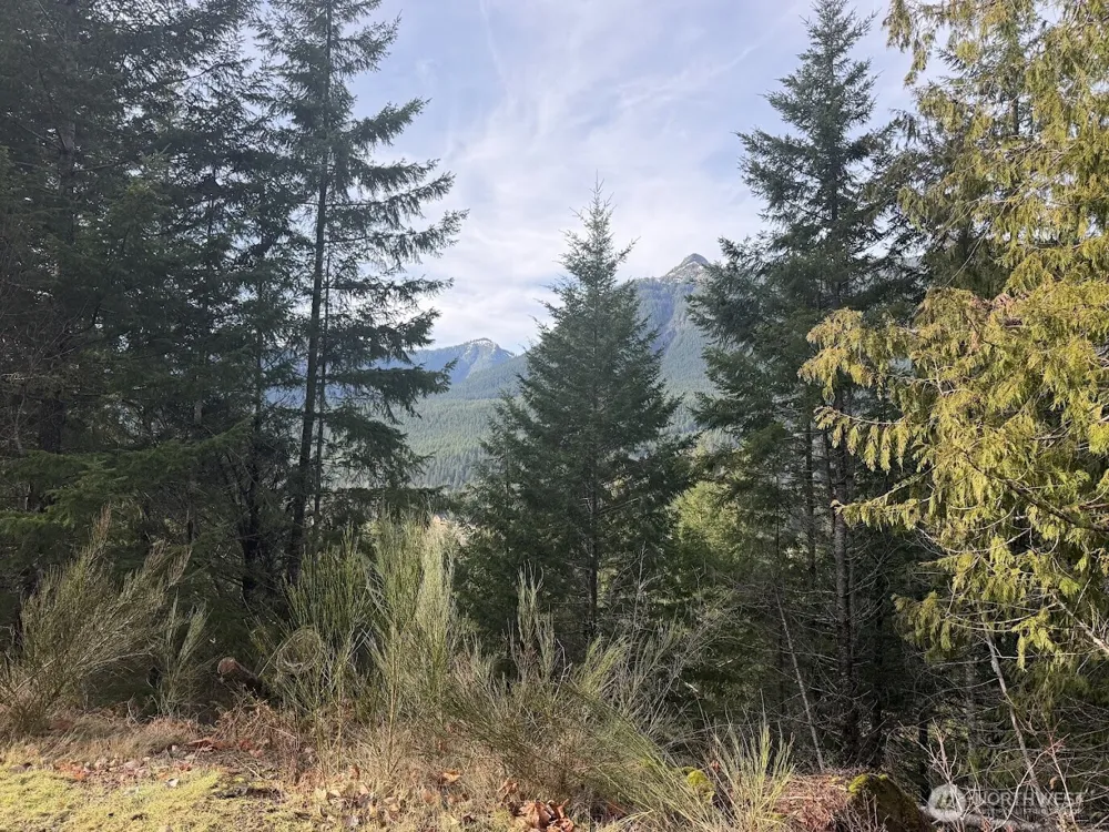 115 Ridge Lane Packwood, WA 98361