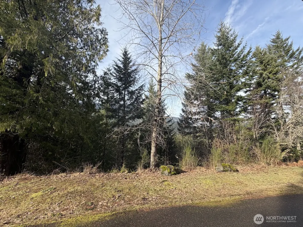 115 Ridge Lane Packwood, WA 98361