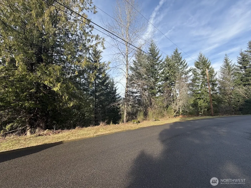 115 Ridge Lane Packwood, WA 98361