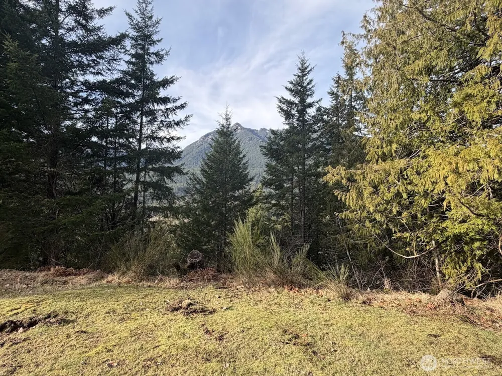 115 Ridge Lane Packwood, WA 98361