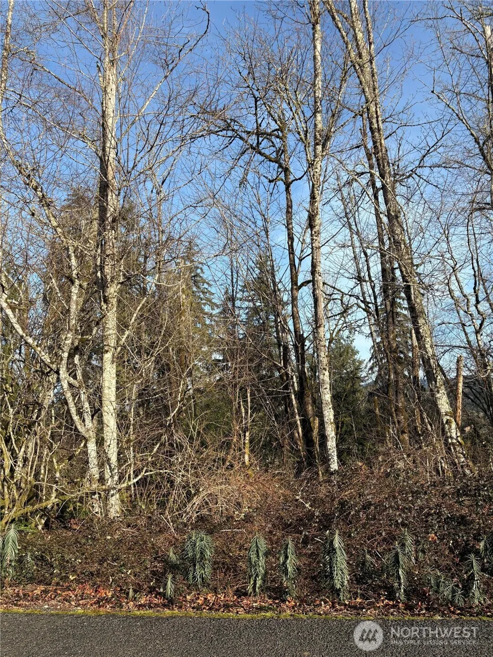 128 Valley View Drive Mossyrock, WA 98564