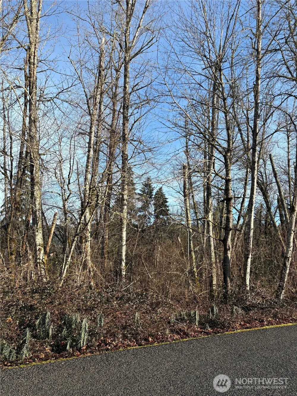 128 Valley View Drive Mossyrock, WA 98564