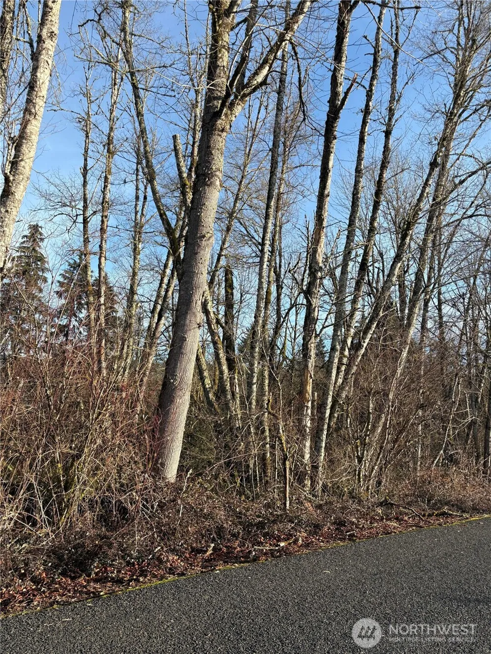 128 Valley View Drive Mossyrock, WA 98564