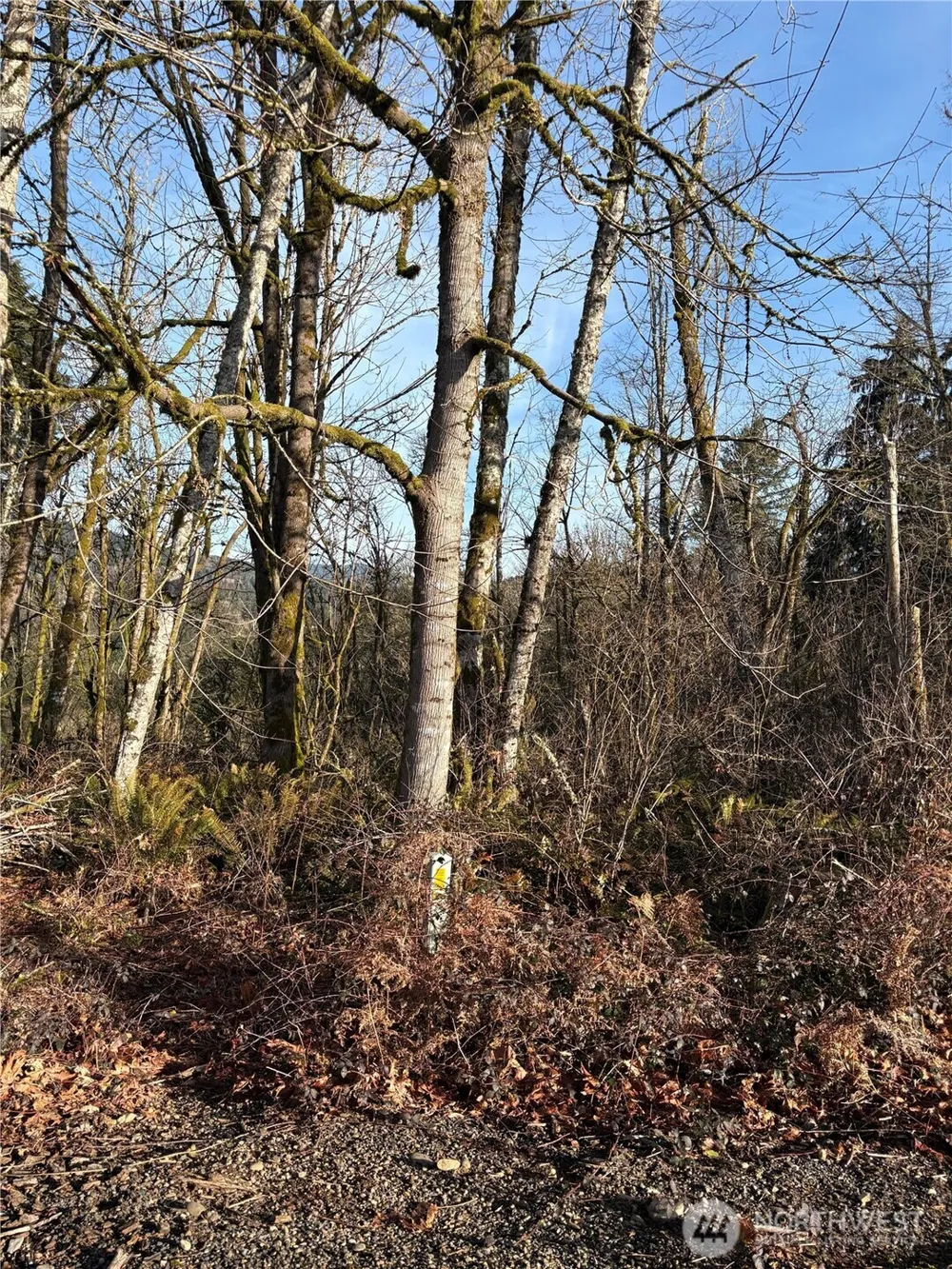 128 Valley View Drive Mossyrock, WA 98564