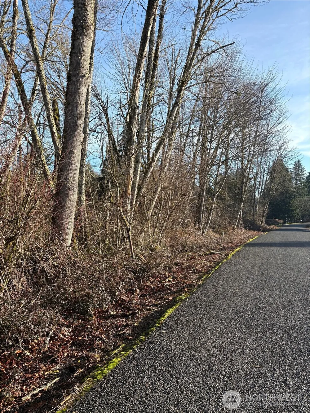 128 Valley View Drive Mossyrock, WA 98564