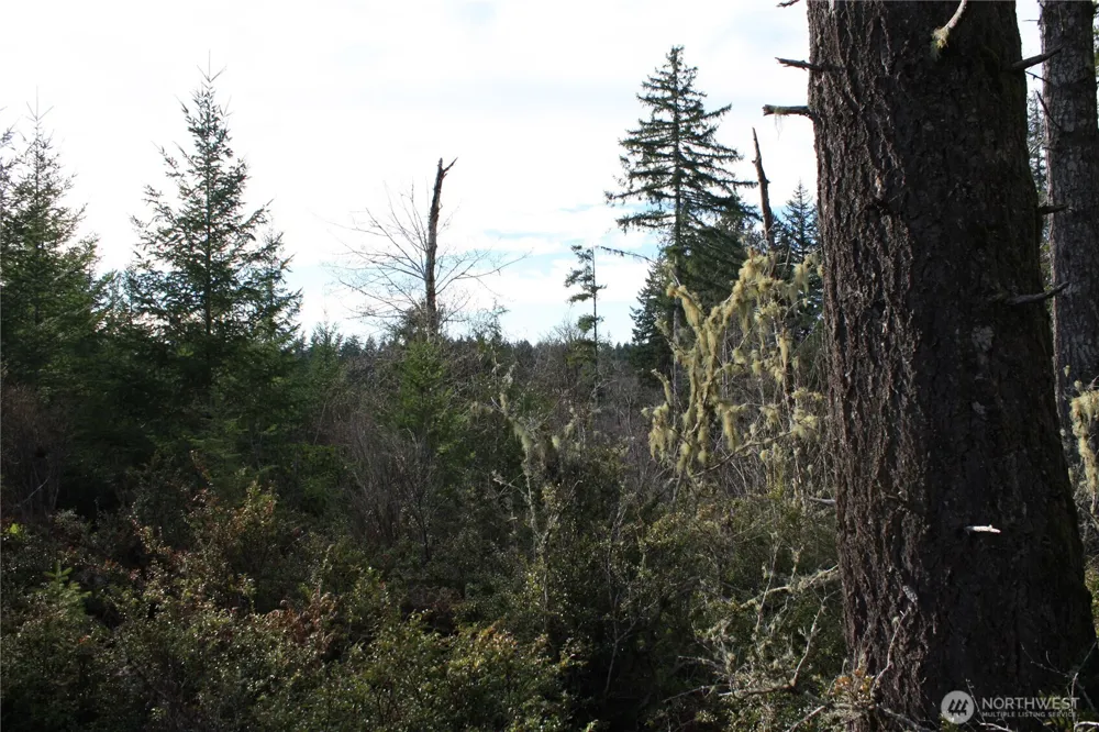 3470 Mission Road Bremerton, WA 98312