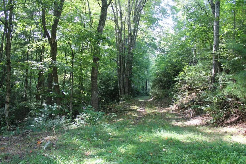 Broom Rd Tuckasegee, NC 28783