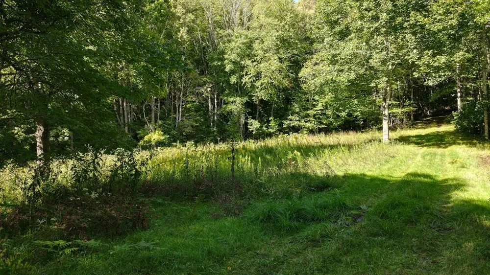 Broom Rd Tuckasegee, NC 28783