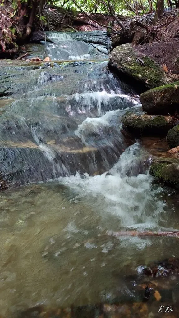 Broom Rd Tuckasegee, NC 28783