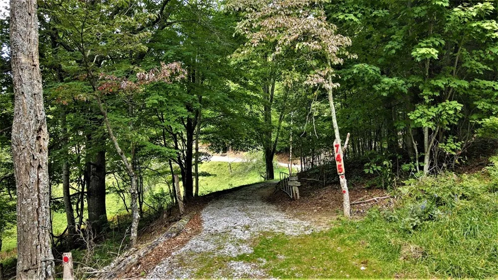 Broom Rd Tuckasegee, NC 28783