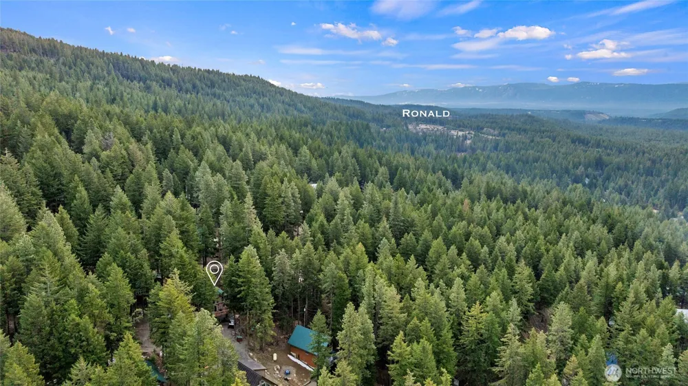 1051 Highland Loop Ronald, WA 98940